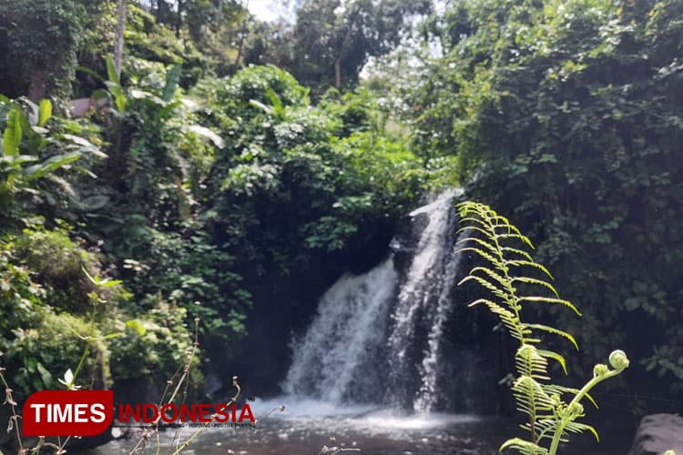 Menikmati Keindahan Air Terjun Hingga Sejarah Perjuangan di Antogan Banyuwangi